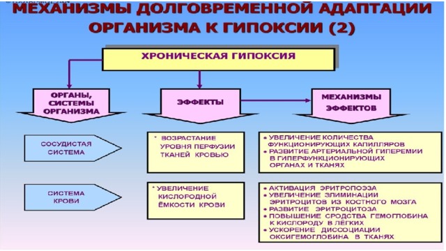 Кислородное голодание биология 8 класс