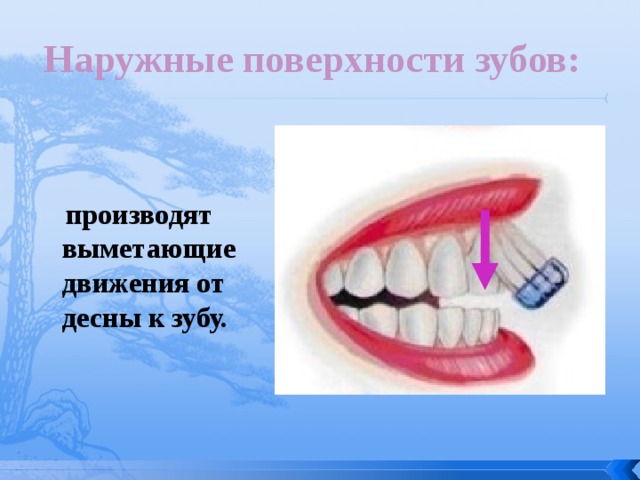 Наружные поверхности зубов:  производят выметающие движения от десны к зубу.   
