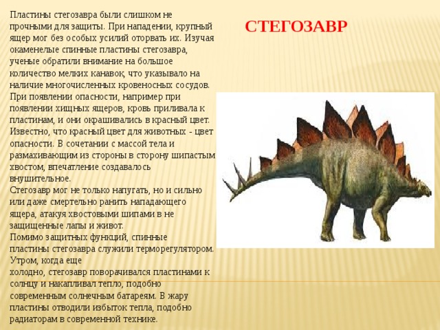 Презентация на тему динозавры на английском языке