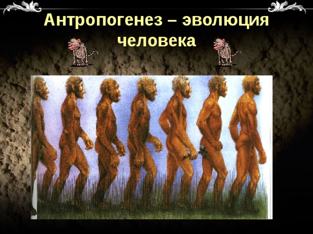 Антропогенез – эволюция человека 