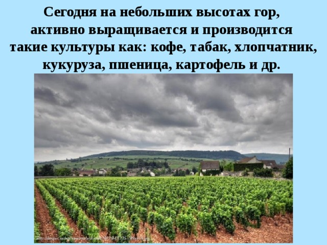 Сегодня на небольших высотах гор, активно выращивается и производится такие культуры как: кофе, табак, хлопчатник, кукуруза, пшеница, картофель и др.  