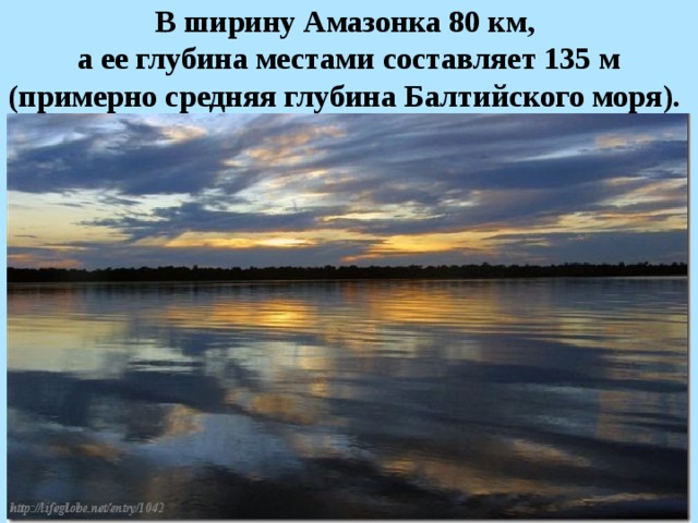 В ширину Амазонка 80 км, а ее глубина местами составляет 135 м (примерно средняя глубина Балтийского моря).   
