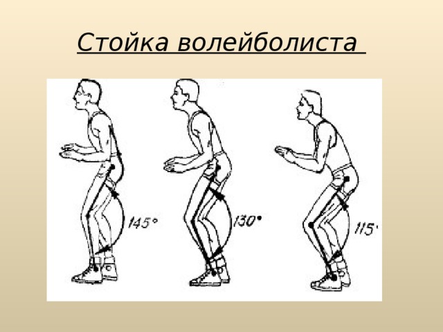 Какой должна быть исходная стойка игрока. Стойка и перемещение волейболиста. Стойка волейболиста. Стойки и перемещения в волейболе. Низкая стойка волейболиста.