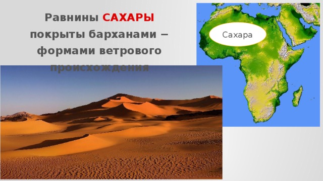 Равнины САХАРЫ покрыты барханами − формами ветрового происхождения Сахара 