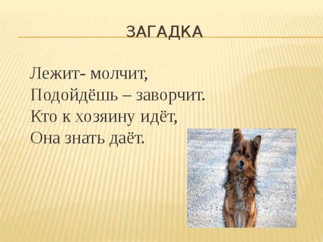 Загадки лежит молчит. Загадка лежит молчит. Лежит молчит подойдешь заворчит кто к хозяину идет она знать. Загадки лежал. Лежит мочит подойдёшь заворчит.