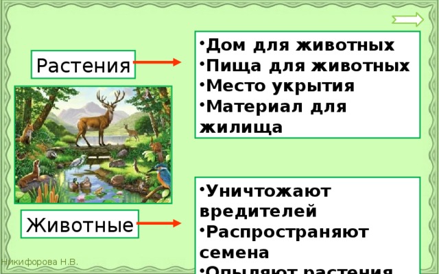 Приведите примеры связей между. Взаимосвязь растений и животных. Взаимосвязь растений и животных в природе. Взаимосвязь между растениями и животными. Взаимосвязь растение и животного.