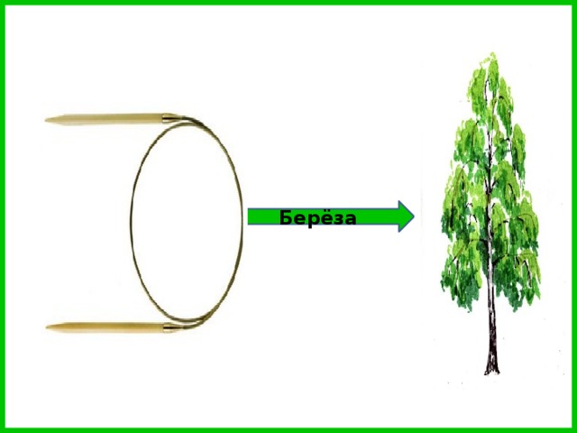 Берёза