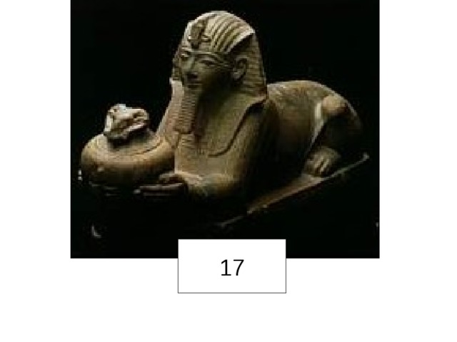 17