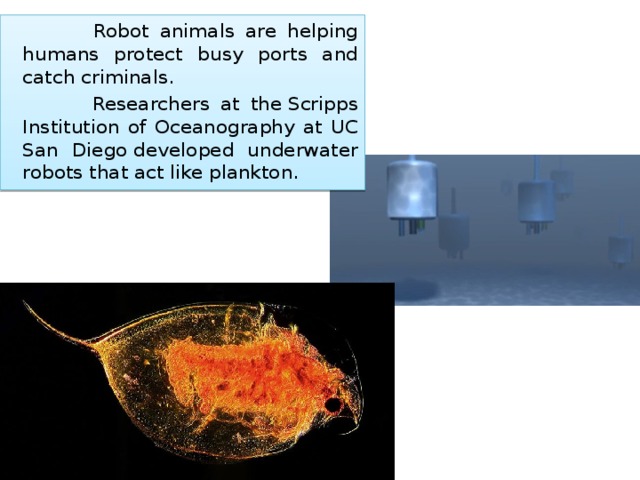  Robot animals are helping humans protect busy ports and catch criminals.  Researchers at the Scripps Institution of Oceanography at UC San Diego developed underwater robots that act like plankton. 