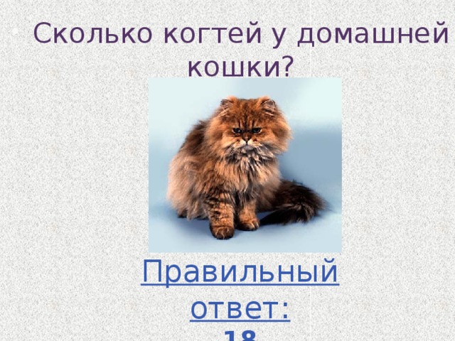 Сколько когтей у домашней кошки? Правильный ответ: 18 