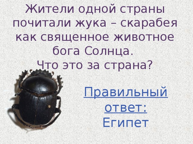 Жители одной страны почитали жука – скарабея как священное животное бога Солнца. Что это за страна? Правильный ответ: Египет 