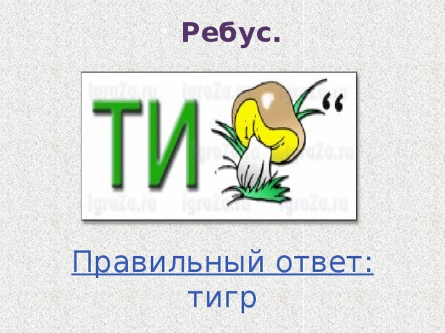 Ребус. Правильный ответ: тигр 