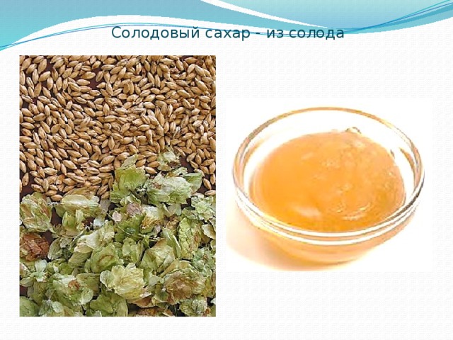 Солодовый сахар - из солода   