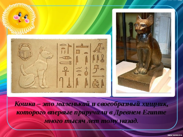 Кошка – это маленький и своеобразный хищник, которого впервые приручили в Древнем Египте много тысяч лет тому назад. 