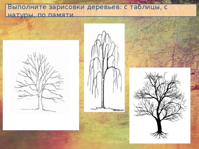 Презентация изо 6 класс