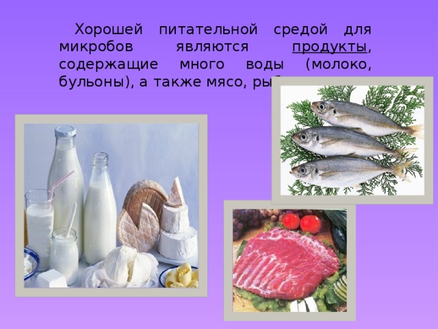  Хорошей питательной средой для микробов являются продукты , содержащие много воды (молоко, бульоны), а также мясо, рыба и т. д.  