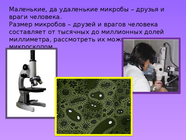 Маленькие, да удаленькие микробы – друзья и враги человека. Размер микробов – друзей и врагов человека составляет от тысячных до миллионных долей миллиметра, рассмотреть их можно только под микроскопом.  