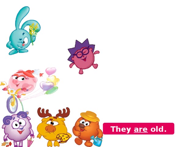 They am old. They are old. 