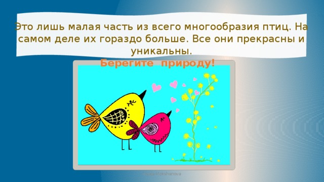 Это лишь малая часть из всего многообразия птиц. На самом деле их гораздо больше. Все они прекрасны и уникальны.  Берегите природу!  Iraida Mokshanova 