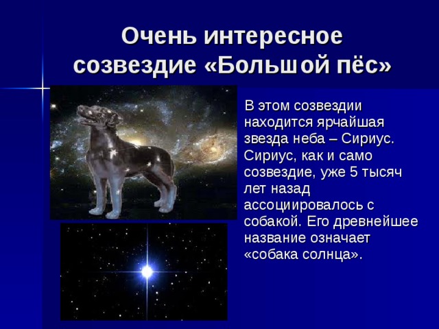 Созвездие пса. Сириус звезда в созвездии большого пса. Созвездие большой пес окружающий мир 2 класс. Сообщение о созвездии большой пес. Созвездие большого пса доклад.