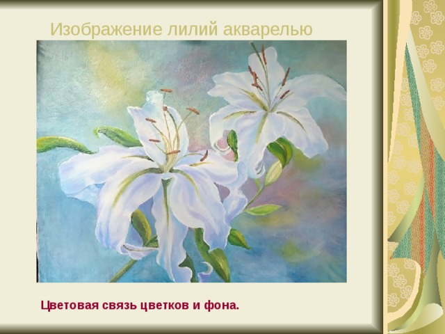 Изображение лилий акварелью  Цветовая связь цветков и фона. 