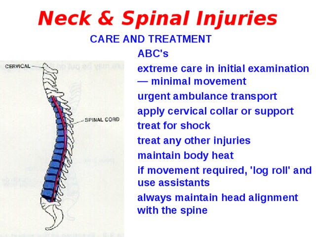 Neck & Spinal Injuries CARE AND TREATMENT ABC's extreme care in initial examination — minimal movement urgent ambulance transport apply cervical collar or support treat for shock treat any other injuries maintain body heat if movement required, 'log roll' and use assistants always maintain head alignment with the spine 