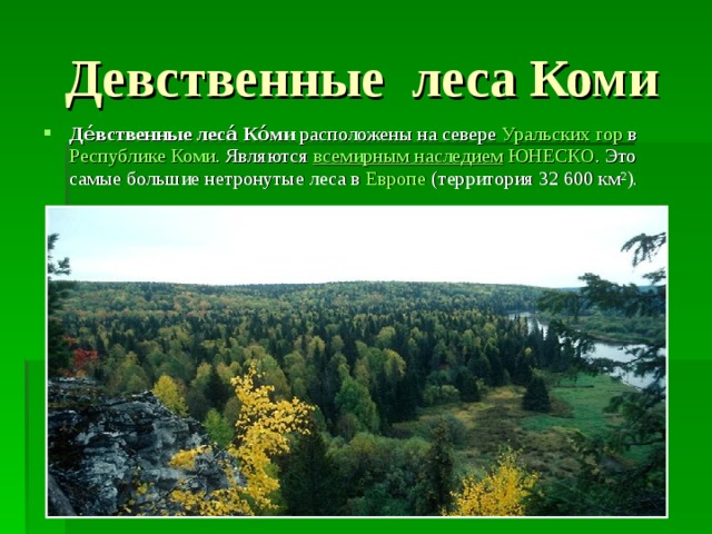 Девственные леса Коми Де́вственные леса́ Ко́ми  расположены на севере  Уральских гор  в  Республике Коми . Являются  всемирным наследием   ЮНЕСКО . Это самые большие нетронутые леса в  Европе  (территория 32 600 км²). 