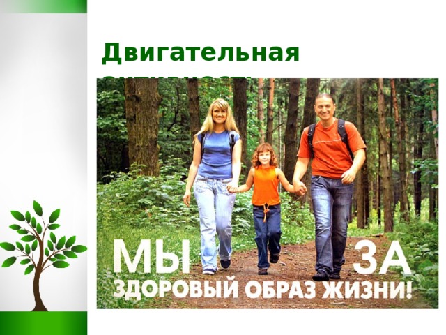 Двигательная активность