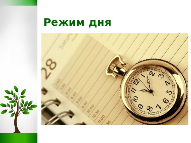 Режим дня