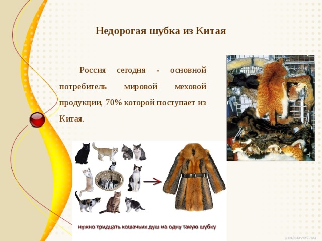 Недорогая шубка из Китая   Россия сегодня - основной потребитель мировой меховой продукции, 70% которой поступает из Китая.  