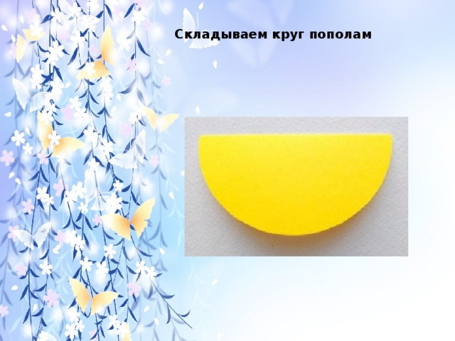Складываем круг пополам 