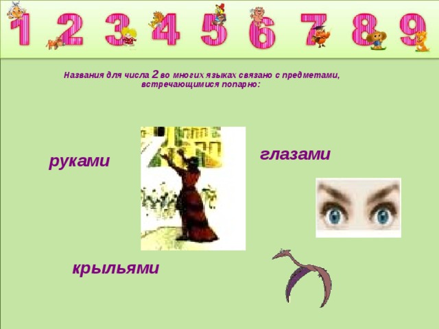 Названия для числа 2 во многих языках связано с предметами, встречающимися попарно:              глазами руками    крыльями