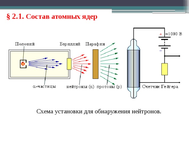 § 2.1. Состав атомных ядер Схема установки для обнаружения нейтронов. 
