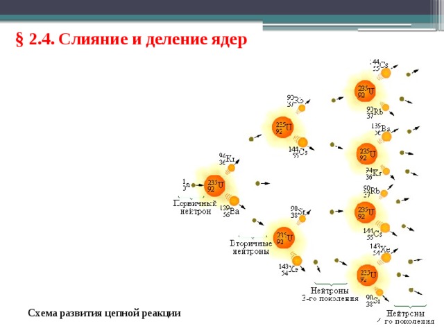 § 2.4. Слияние и деление ядер Схема развития цепной реакции 