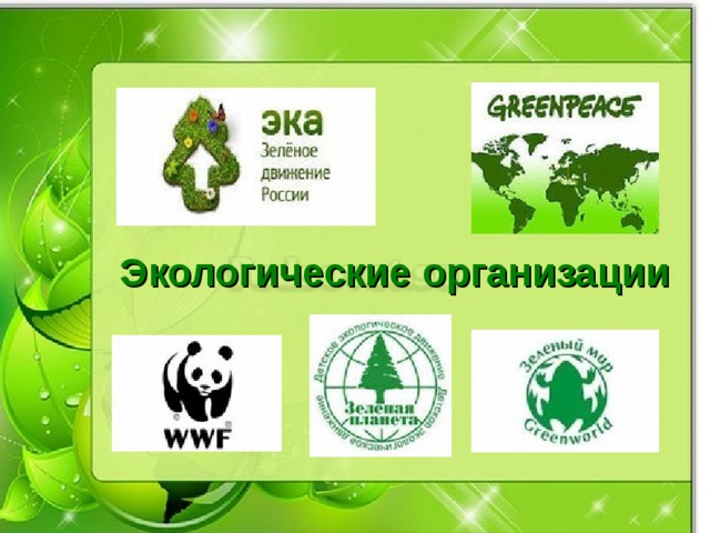 Экологические организации  