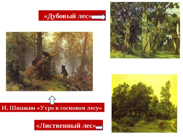 «Дубовый лес» И. Шишкин «Утро в сосновом лесу» «Лиственный лес»