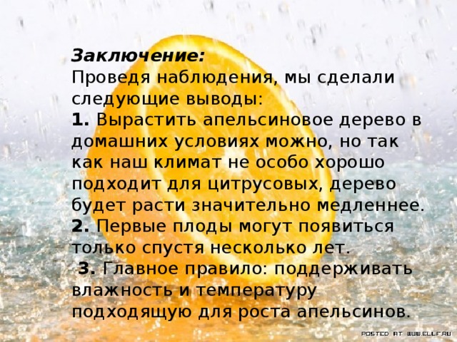 Заключение: Проведя наблюдения, мы сделали следующие выводы: 1. Вырастить апельсиновое дерево в домашних условиях можно, но так как наш климат не особо хорошо подходит для цитрусовых, дерево будет расти значительно медленнее. 2. Первые плоды могут появиться только спустя несколько лет.  3. Главное правило: поддерживать влажность и температуру подходящую для роста апельсинов. 