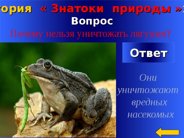 Категория « Знатоки природы » за 5 00 Вопрос Почему нельзя уничтожать лягушек? Ответ Они уничтожают вредных  насекомых Welcome to Power Jeopardy   © Don Link, Indian Creek School, 2004 You can easily customize this template to create your own Jeopardy game. Simply follow the step-by-step instructions that appear on Slides 1-3. 2 
