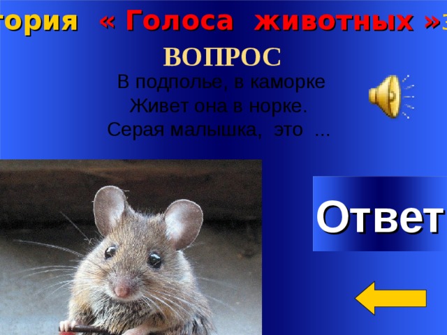 Категория « Голоса животных » за 4 00 ВОПРОС  В подполье, в каморке  Живет она в норке.  Серая малышка, это ...     Ответ Welcome to Power Jeopardy   © Don Link, Indian Creek School, 2004 You can easily customize this template to create your own Jeopardy game. Simply follow the step-by-step instructions that appear on Slides 1-3. 2 