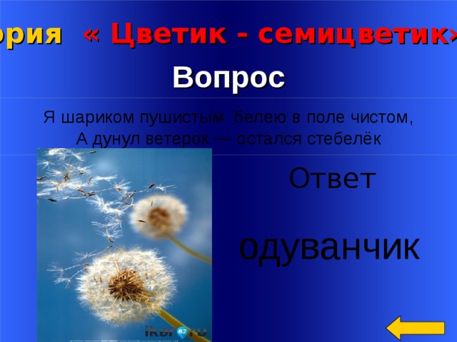  Вопрос Категория « Цветик - семицветик» за 2 00 Я шариком пушистым белею в поле чистом,  А дунул ветерок — остался стебелёк Ответ Welcome to Power Jeopardy   © Don Link, Indian Creek School, 2004 You can easily customize this template to create your own Jeopardy game. Simply follow the step-by-step instructions that appear on Slides 1-3. одуванчик 2 