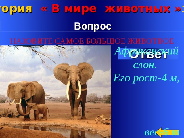 Категория « В мире животных » за 2 00 Вопрос НАЗОВИТЕ САМОЕ БОЛЬШОЕ ЖИВОТНОЕ Африканский слон. Его рост-4 м,  вес-6 т  Welcome to Power Jeopardy   © Don Link, Indian Creek School, 2004 You can easily customize this template to create your own Jeopardy game. Simply follow the step-by-step instructions that appear on Slides 1-3. 2 