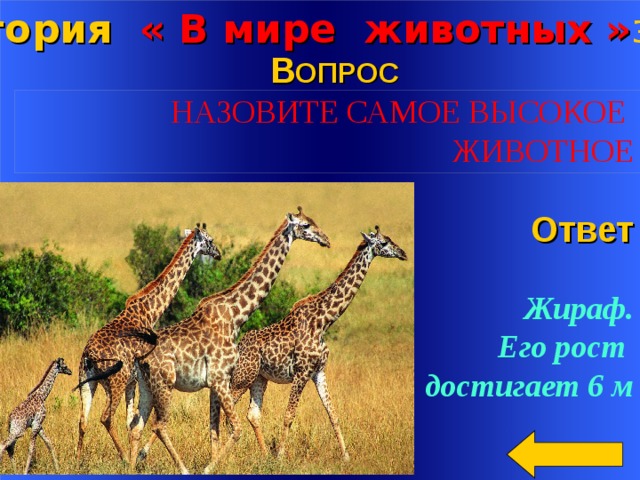 Категория « В мире животных » за 3 00 В ОПРОС  НАЗОВИТЕ САМОЕ ВЫСОКОЕ ЖИВОТНОЕ   Ответ  Жираф.  Его рост достигает 6 м Welcome to Power Jeopardy   © Don Link, Indian Creek School, 2004 You can easily customize this template to create your own Jeopardy game. Simply follow the step-by-step instructions that appear on Slides 1-3. 2 