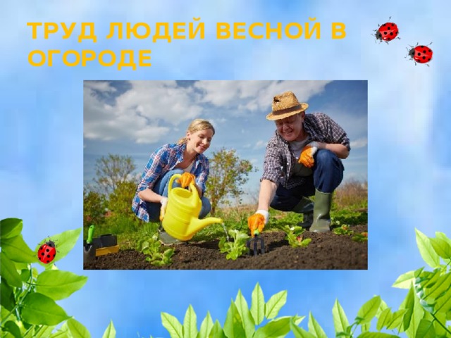 ТРУД ЛЮДЕЙ ВЕСНОЙ В ОГОРОДЕ 