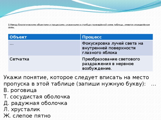 Фокусировка лучей света на внутренней поверхности глазного. Между объектами и процессами указанными в Столбцах. Между биологическими объектами и процессами указанными. Фокусировка лучей света на внутренней поверхности глазного яблока. Таблица объект и процесс.