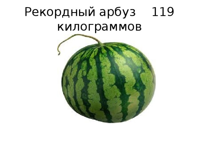 Арбуз это ягода или овощ. Арбуз это ягода. Проект про Арбуз. Проект на тему ягода Арбуз.