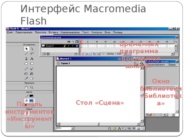 Интерфейс Macromedia Flash Временная диаграмма «Временная шкала» Окно библиотеки «Библиотека» Стол «Сцена» Панель инструментов «Инструменты» 