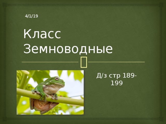 Класс Земноводные Д/з стр 189-199 