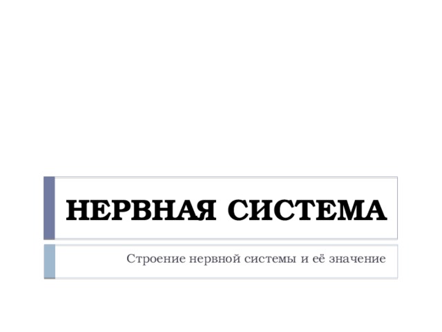 НЕРВНАЯ СИСТЕМА Строение нервной системы и её значение 