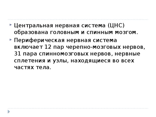 Центральная нервная система (ЦНС) образована головным и спинным мозгом. Периферическая нервная система включает 12 пар черепно-мозговых нервов, 31 пара спинномозговых нервов, нервные сплетения и узлы, находящиеся во всех частях тела. 