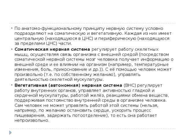 По анатомо-функциональному принципу нервную систему условно подразделяют на соматическую и вегетативную. Каждая из них имеет центральную (находящуюся в ЦНС) и периферическую (находящуюся за пределами ЦНС) части. Соматическая нервная система регулирует работу скелетных мышц, осуществляя связь организма с внешней средой (посредством соматической нервной системы мозг человека получает информацию о внешней среде и ее влиянии на организм (например, температурные изменения, боль, прикосновение и др.)). С её помощью человек может произвольно (т.е. по собственному желанию), управлять деятельностью скелетной мускулатуры. Вегетативная (автономная) нервная система (ВНС) регулирует работу внутренних органов, управляет активностью гладкой и сердечной мускулатуры, работой желёз, реакциями обмена веществ, поддерживая постоянство внутренней среды в организме человека. Сам человек не может управлять работой этой системы (нельзя, например, по желанию остановить сердце, ускорить процесс пищеварения, задержать потоотделение), то есть она работает непроизвольно. 